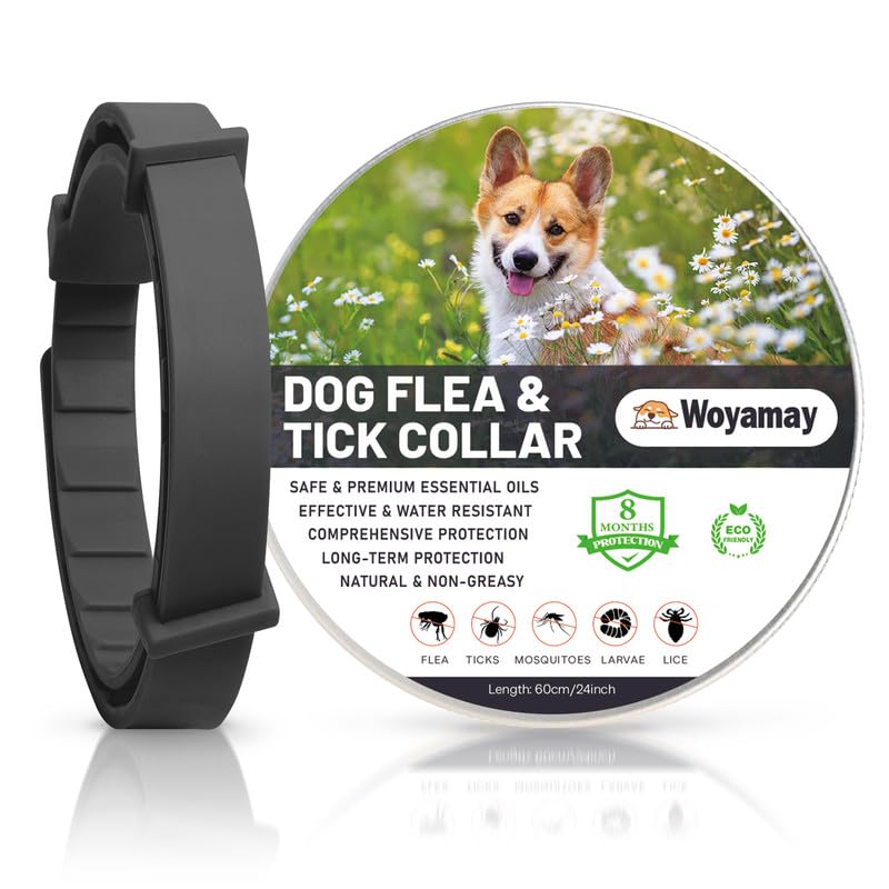 Collar Antiparasitario Perros, Seguro y Eficaz Collar Antipulgas Perros contra Garrapatas y Mosquitos, 8 Meses de Protección Ajustable e Impermeable Collar Perro para Pequeño Mediano Grandes, Negro