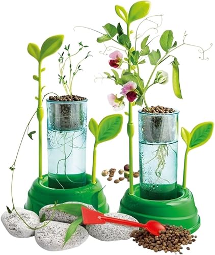 Miniatura 3 de Clementoni BOTANIQUE ET HYDROPONIE