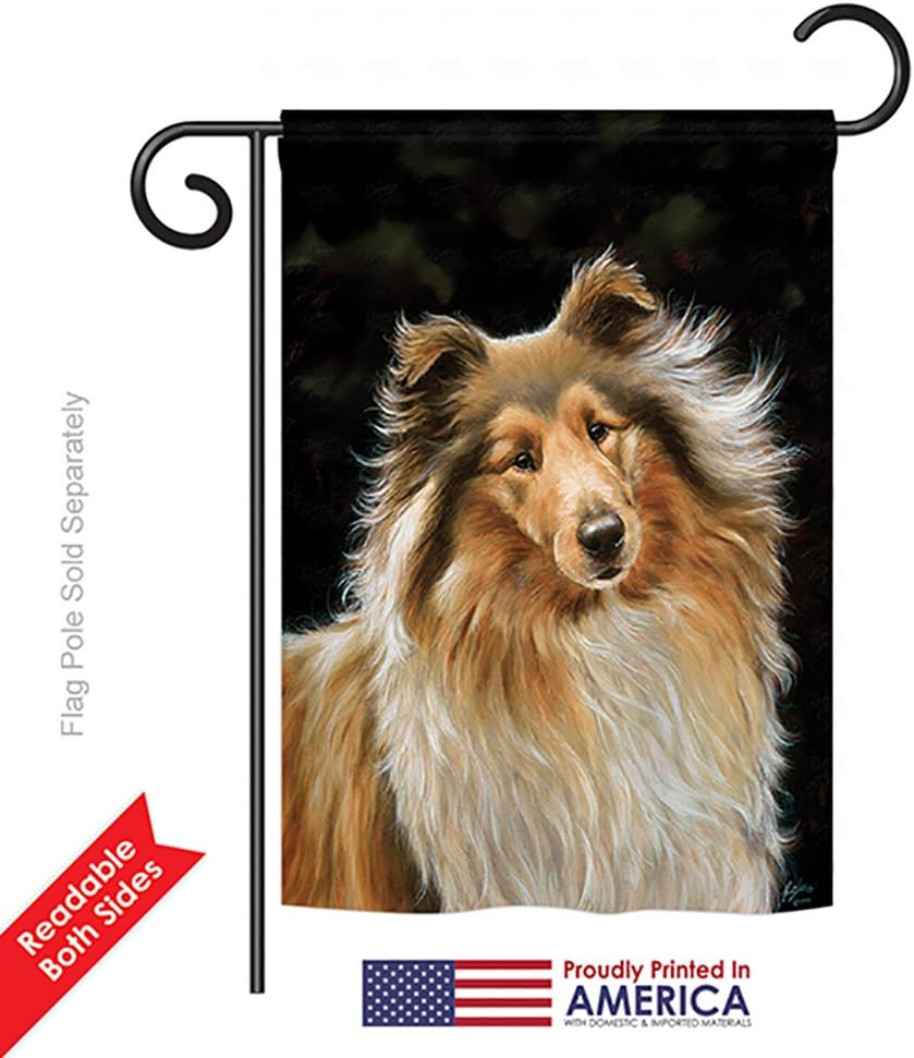 Breeze Decor PT-G-110075-IP Collie Nature Everyday Pets Impressions Decorative Vertical Garden Flag, 13"x 18.5", Multicolor