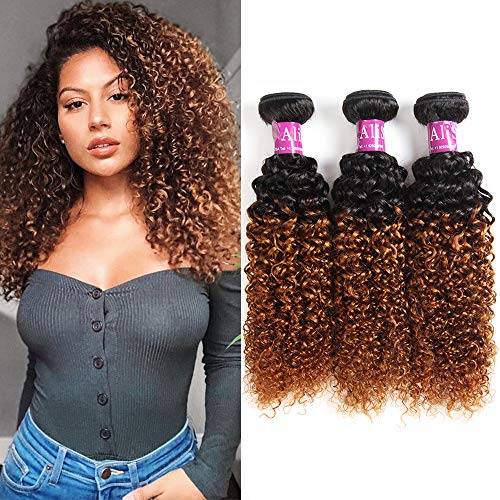 Ombre Curly Bundles Brazilian Curly Hair Wet and Wavy Human Hair Weave 3bundles Kinky Curly 1b/30 Black to Brown (20"22"24")