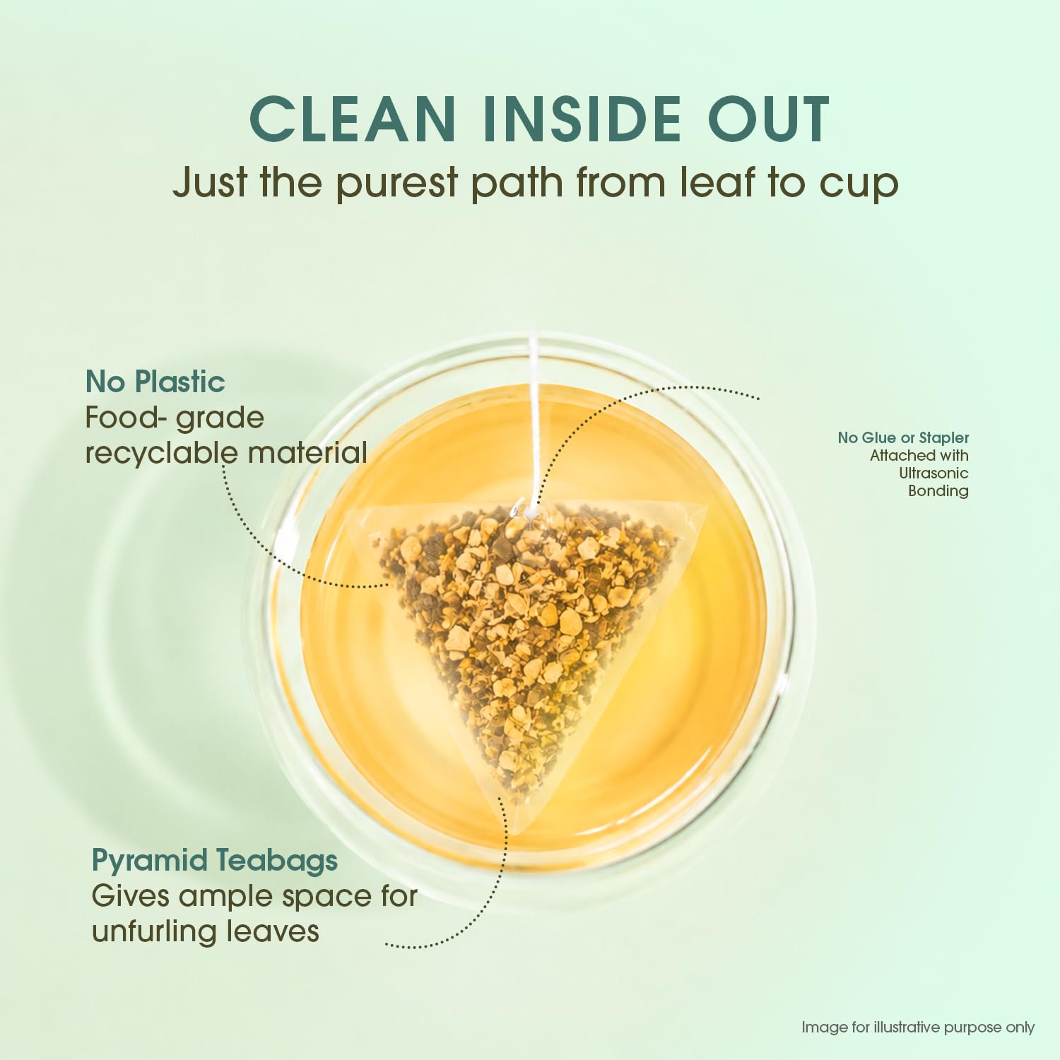 Teabox Detox Kahwa Herbal Tea | 50 Biodegradable Teabags | 8 Natural Ingredients | Supports Body Detox & Healthy Digestion | 0% Bitterness | Caffeine-Free Wellness Brew 3