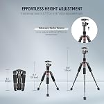 NEEWER Mini Desk Camera Tripod with Cell Phone Holder Compatible with iPhone for Video Recording Filming, 20"/50cm Small Portable DSLR Camcorder Webcam Stand, 360° Ball Head 1/4" QR Plate, TP-AAM521