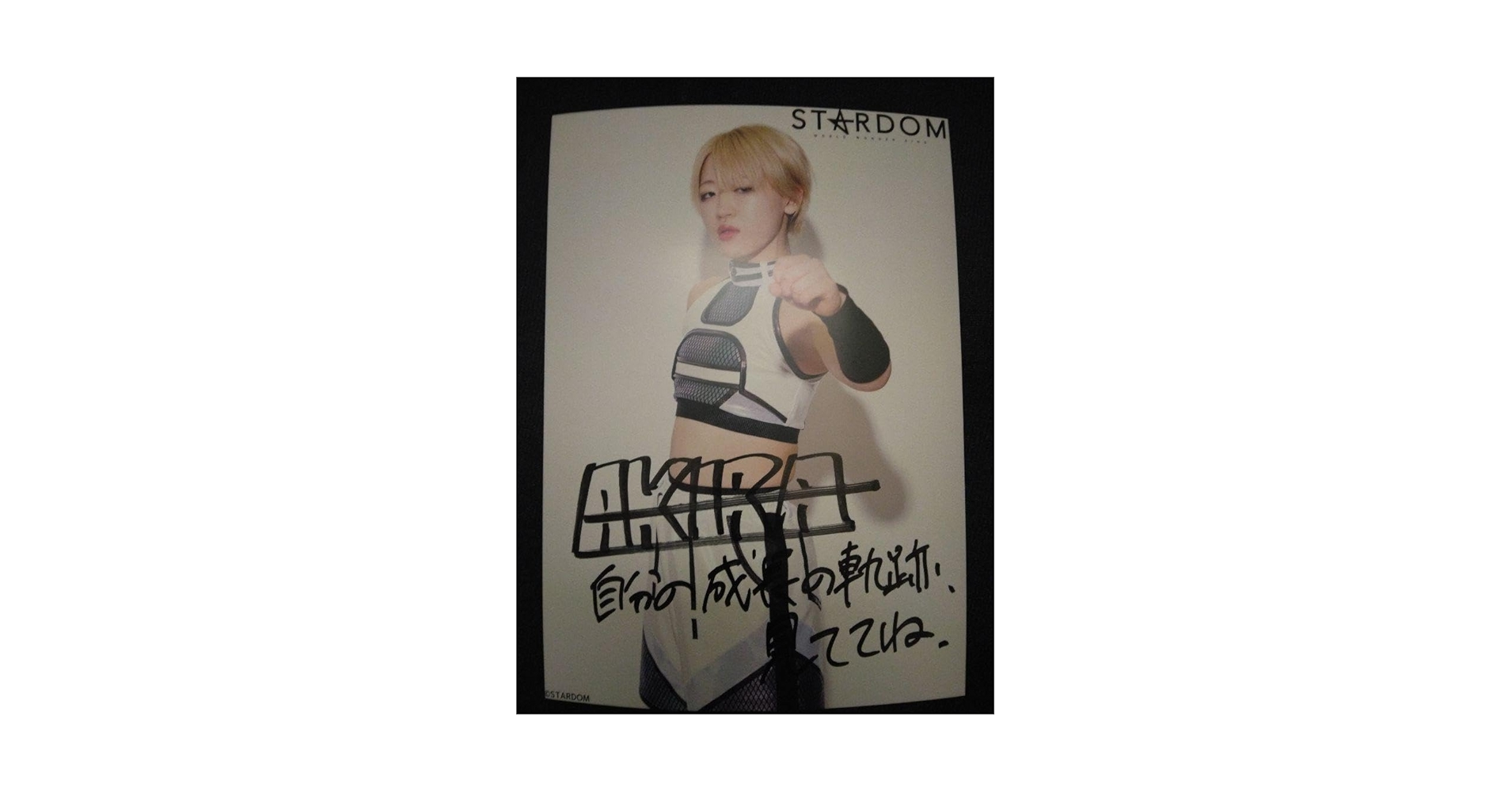 女子プロレスクレクション　サイン入りポスター 女子プロレス 直筆サイン入り ポートレートセット① – 闘道館