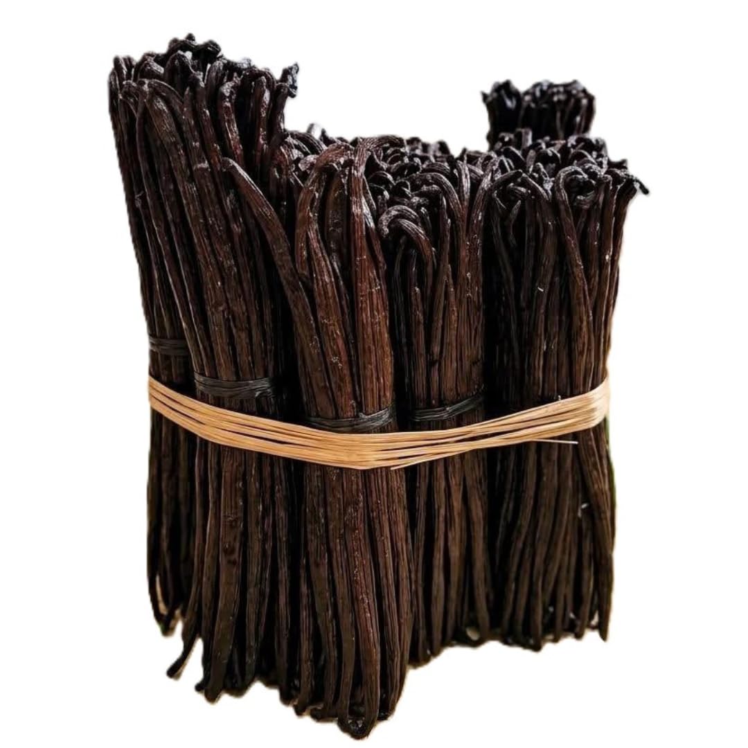 TerraVanilla Vanille de Madagascar Gourmet - Gousse 17-19 cm - 50 Gousses - Qualité Bourbon
