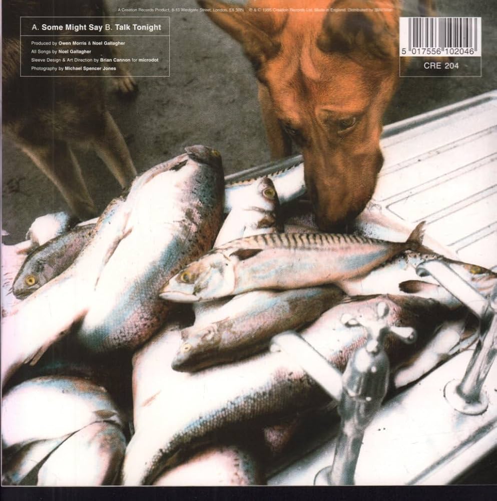 オアシス　7inch whatever some might say 2枚セット Amazon.co.jp: Some Might Say (30th Anniversary) (7inch Pearl