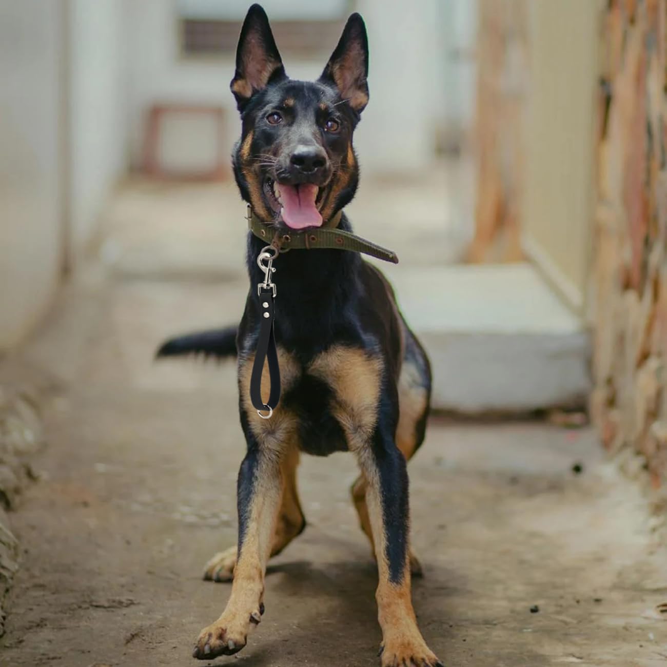 Correa corta para perro, correa verde de 9 pulgadas, resistente al agua, PVC, correas de tráfico para entrenamiento de perros, control de seguridad, corrección de comportamiento, senderismo, respaldo