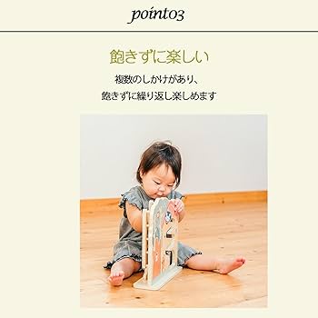 知育玩具 kittoo Amazon.co.jp: Tooky Toy トゥーキートイ【かた♪ころ！2㏌1