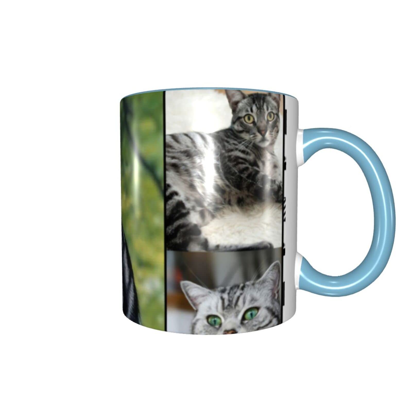 Amazon.co.jp: マグカップ アメリカンショートヘア 猫柄 かわいい 