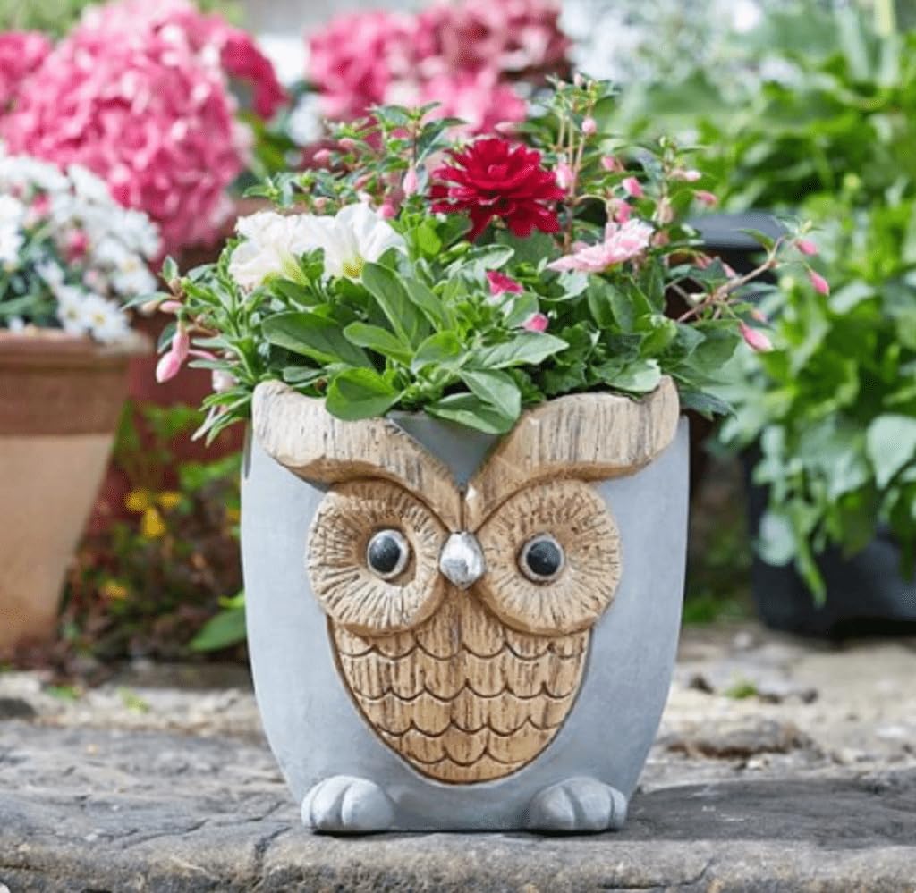 Smart Garden Woodstone Owl Planter