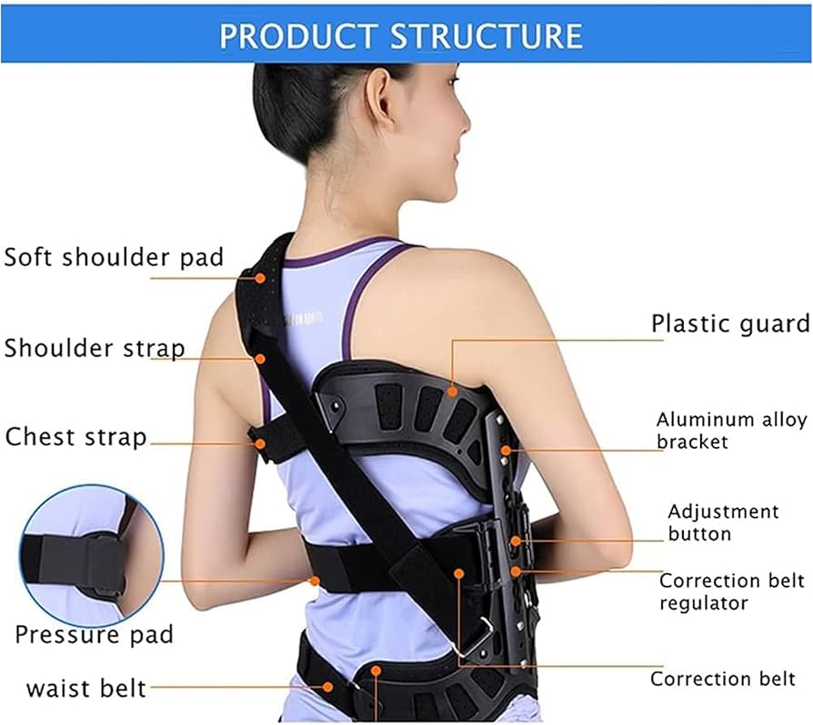 Amazon.co.jp: 胸腰椎固定ブラケット、脊柱側弯症矯正器、脊柱側弯症