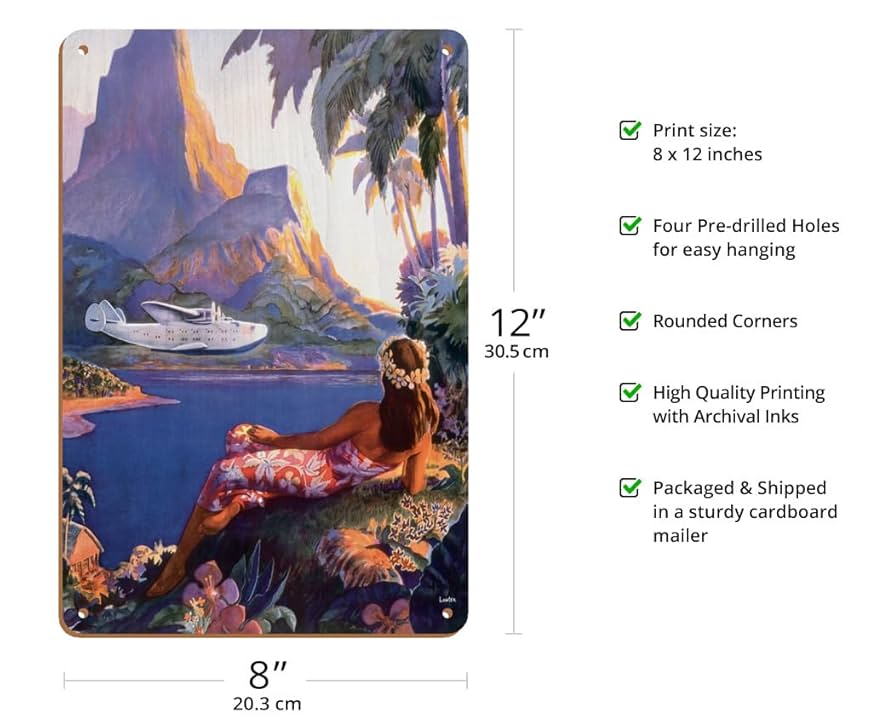 PAN AMERICAN WORLD AIRWAYS hawaii アート Amazon.com: Hawaii by Jet - Mr. Pineapple Head - Pan