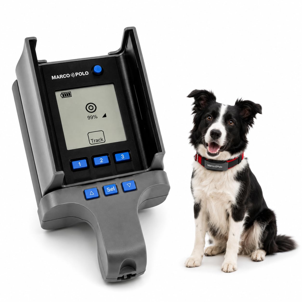 Marco Polo Advanced Pet Tracker MPS-101 (1-Pet System)