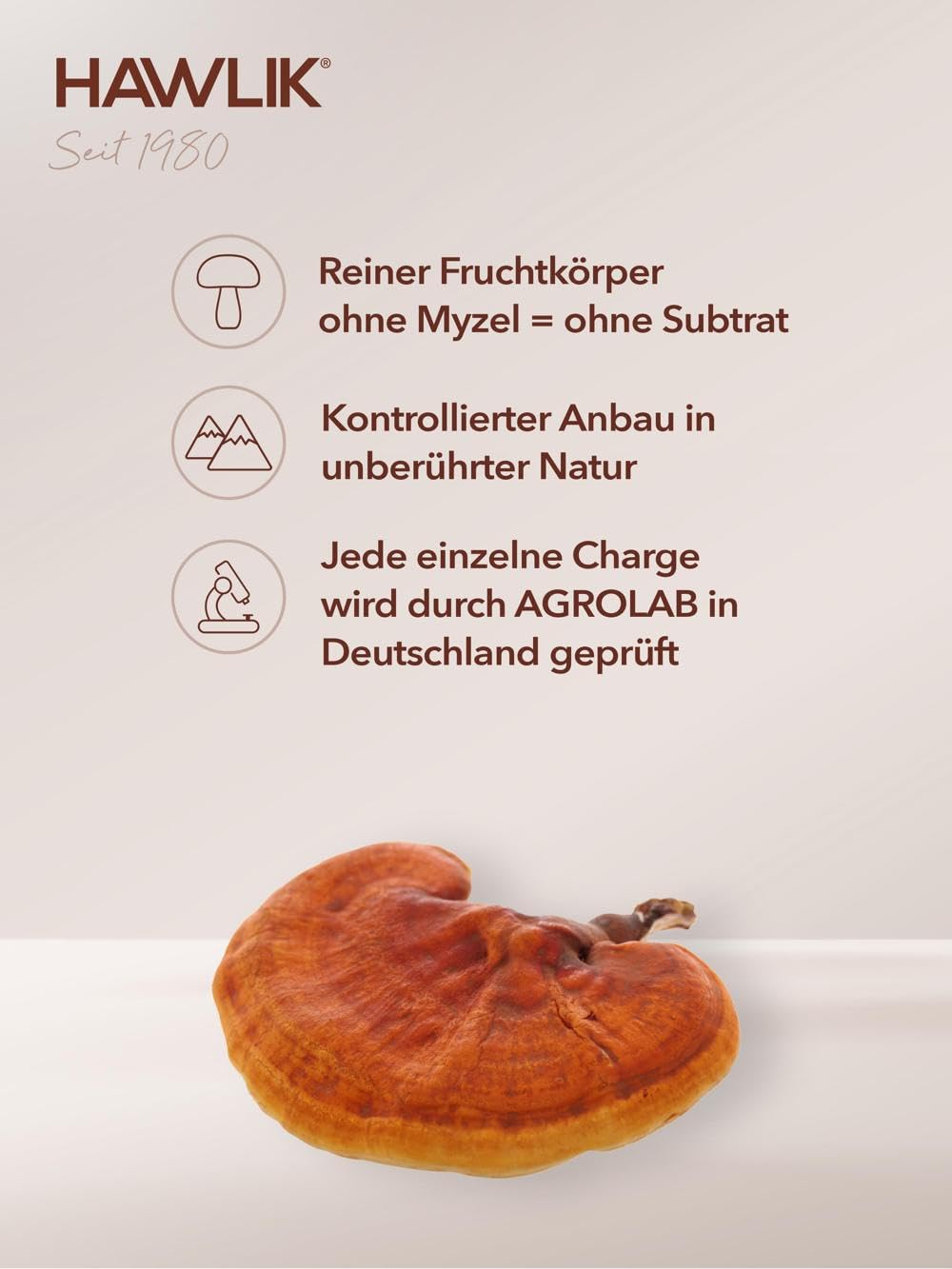 HAWLIK Vitalpilze Bio Reishi Extrakt Kapseln - 60 Kapseln - Mit Vitamin C - Immunsystem - Natürlicher Anbau - Vegan - Zuckerrohr-Dose