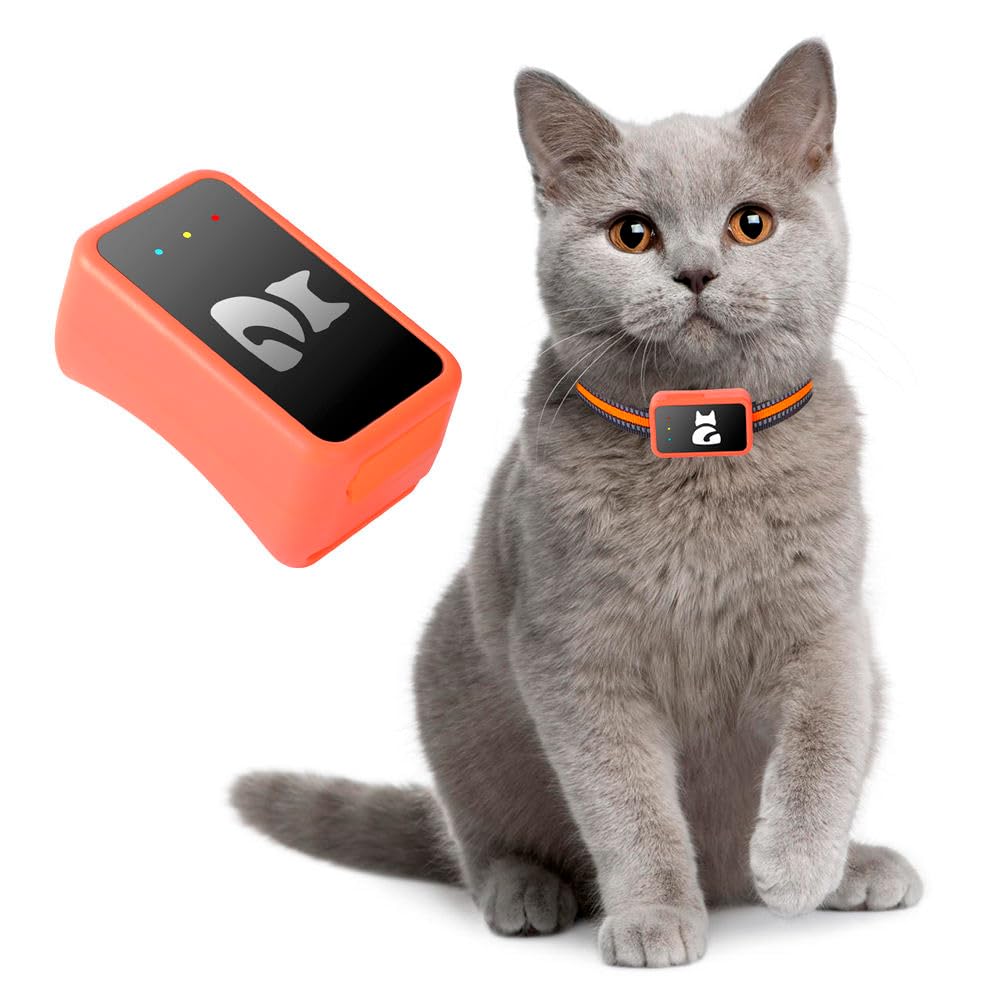 GPS-Tracker für Hunde und Katzen, wasserdicht, mit kostenloser App – Echtzeit-Tracking, Perimeter-Alarm, Verlaufsverlauf, funktioniert mit Nano-SIM-Karte 4G