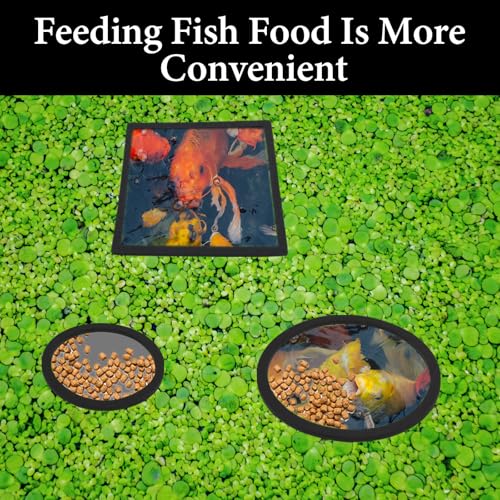 10 Stück Schwimmende Pflanzenringe Aquarien 5 Größen Schwimmenden Pflanzenbarrieren Set Schaumstoff Schwimmpflanzen Futterringe Runde Quadratische Fischfutterringe Für Fische Aquarium Zubehör