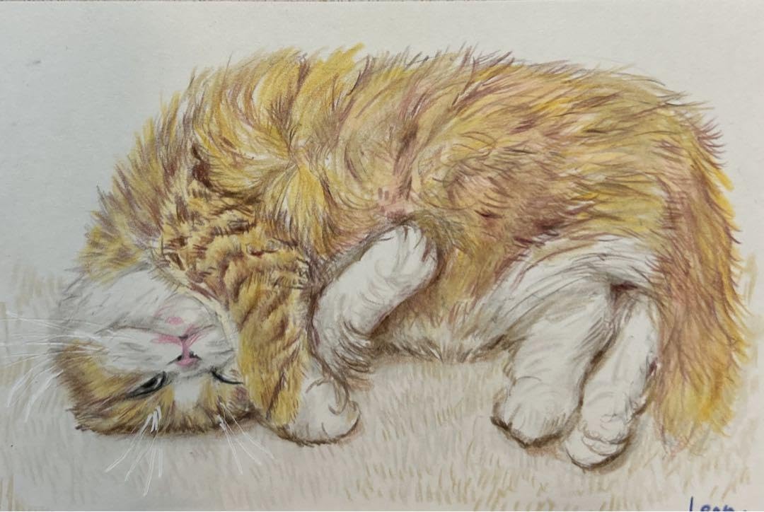 F0号◆猫◆新品【パステル＋水彩＋色鉛筆＋アクリル】◆防水丁寧梱包◆猫の絵 Amazon.co.jp: 猫 絵画 子猫 イラスト 水彩色鉛筆 油彩色鉛筆