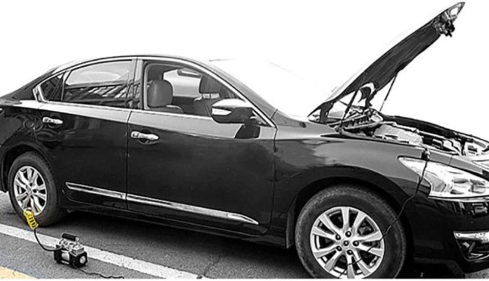 耐久性のあるタイヤインフレーター エアコンプレッサータイヤインフレータ12Vポータブルエアーポンプ 多機能 (色 : Gold, S