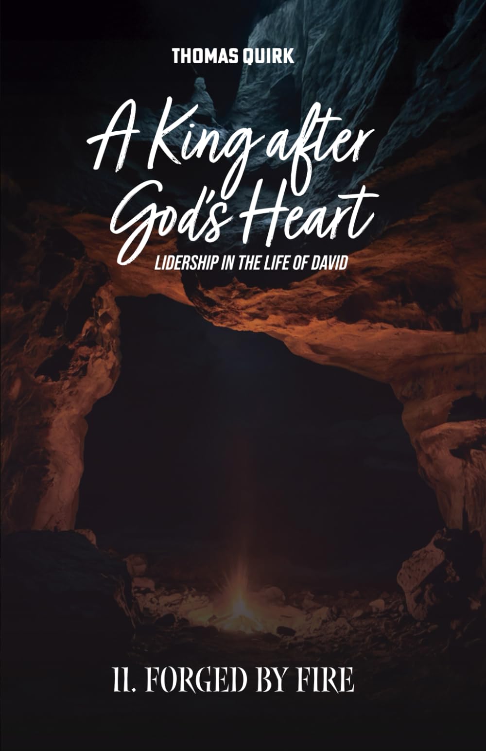 A King after God's Heart. Book 2: Forged by Fire