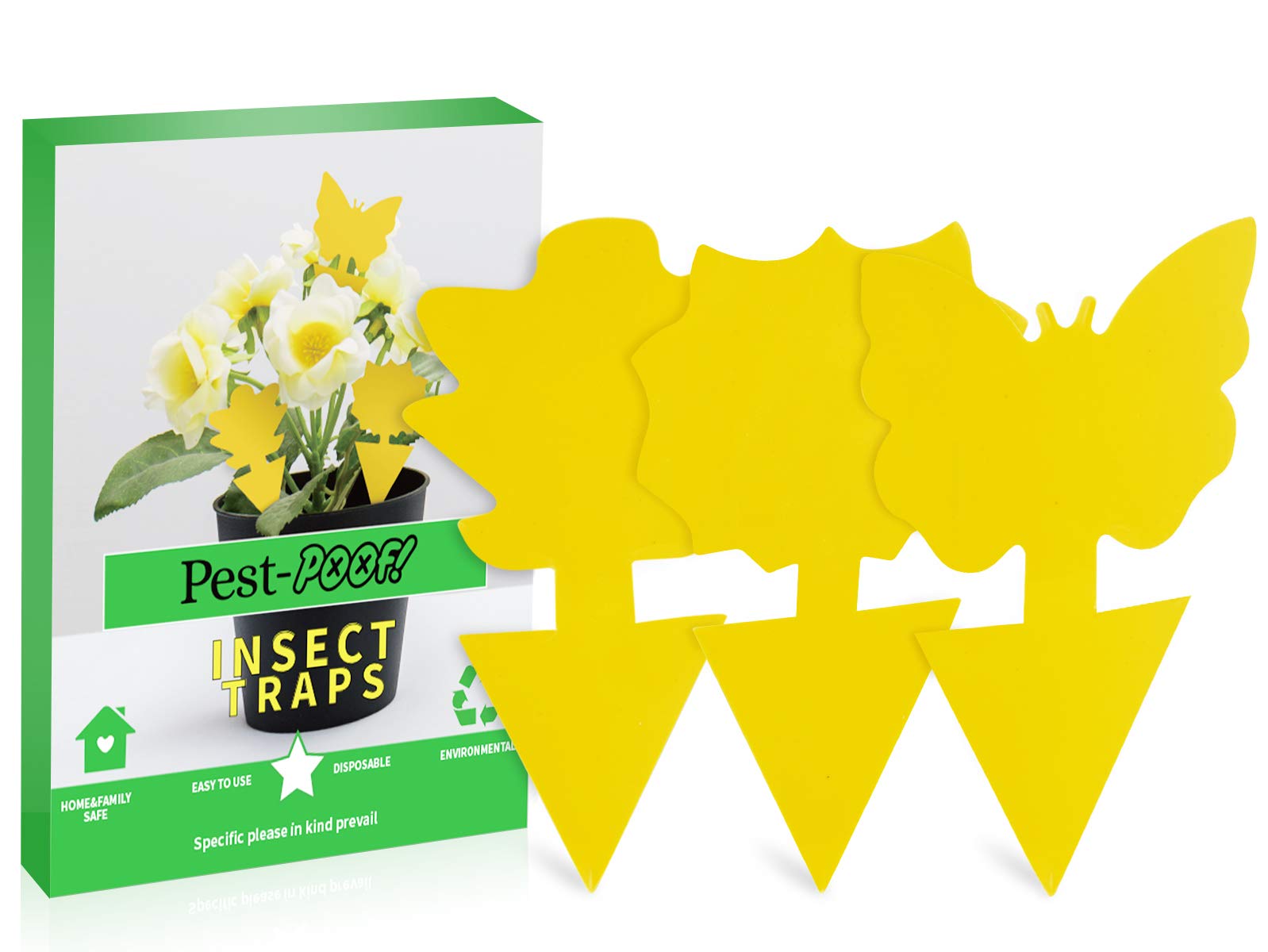 Buy Pest Fruit Fly Traps Indoors and Outdoors, Fungus Gnat Trap Killer with Extra Sticky, Non