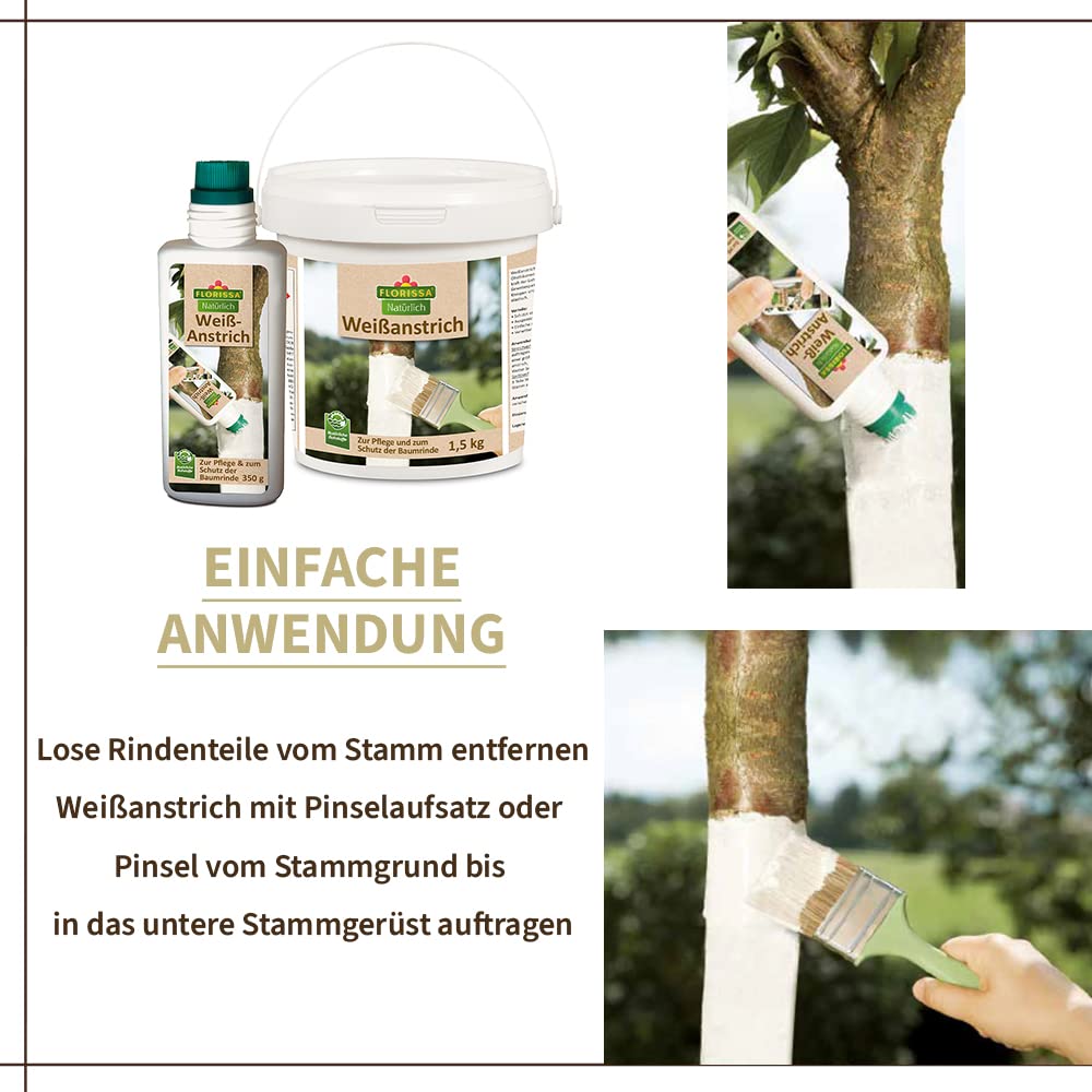 Vernice Bianca Biovita Per Alberi Da Frutto - Protezione Da Gelo E Parassiti, 2 Kg - Foto 3