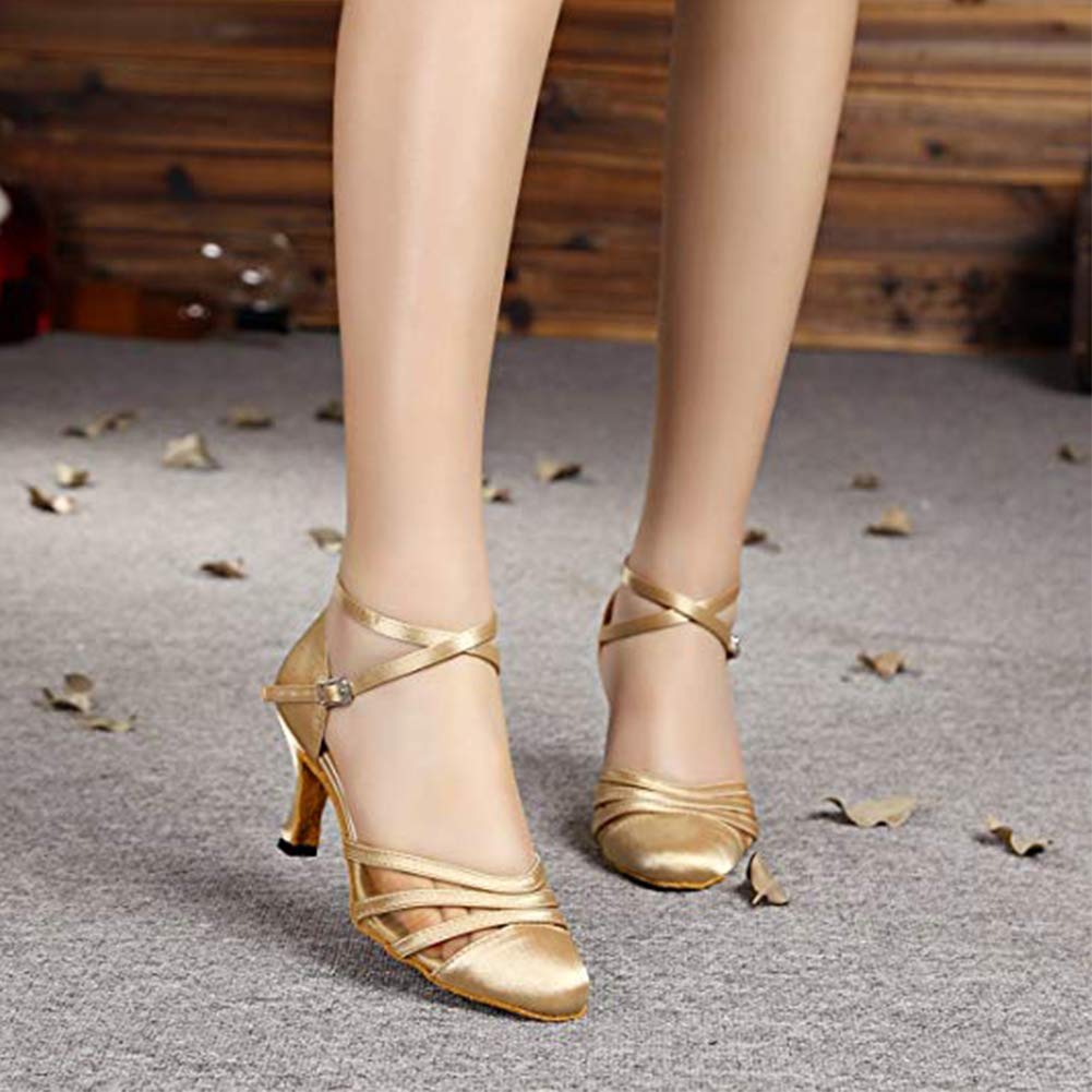 HROYL Zapatos de Baile Latino para Mujer Tacon Alto Zapatos de Tango Salsa Samba Vals Baile de Salón,516/117/189