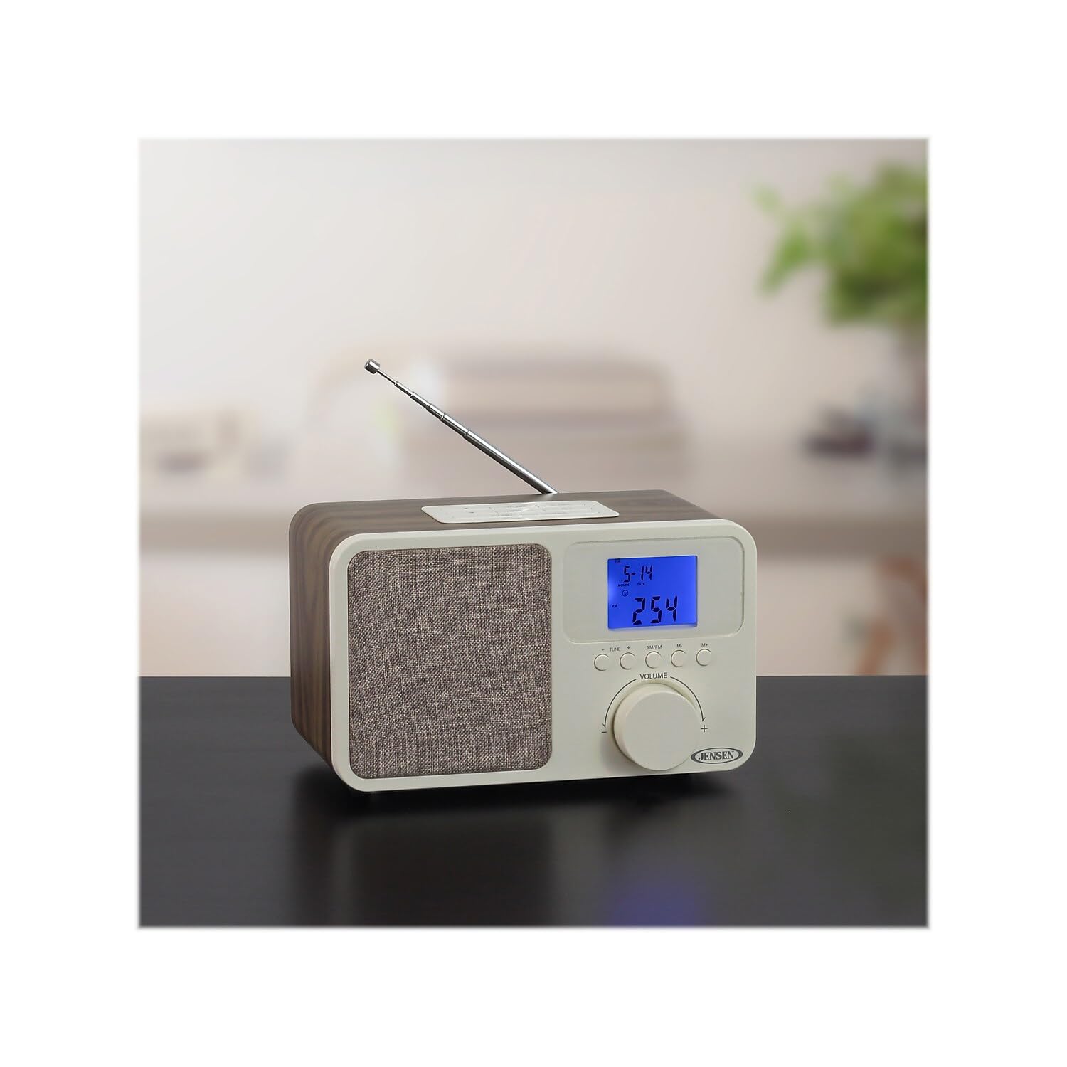 Amazon.com: Jensen JCR-315 JCR-315 Digital AM/FM Dual-Alarm Clock