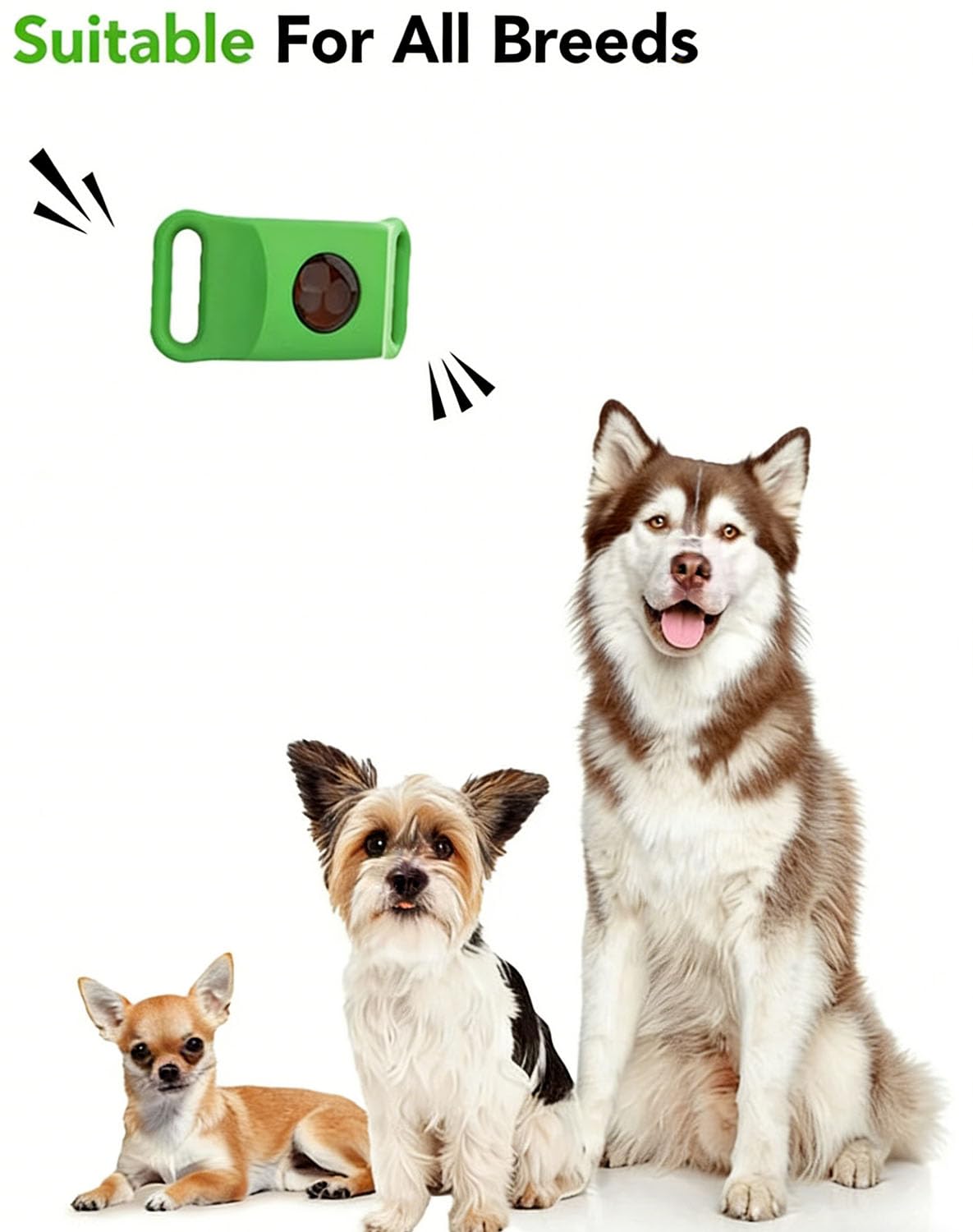 Everly — Pendentif Everly Chien, 12 Mois de Protégez Votre Chien naturellement, Everly Collier avec Tous Les Colliers pour Les Chiots et Les Animaux Sensibles (1PC)