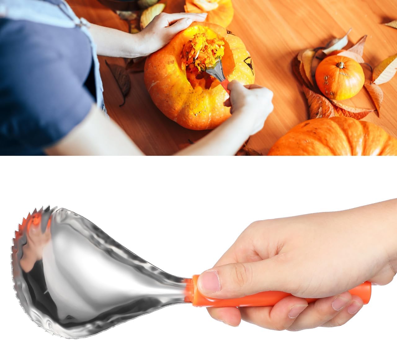 MAGICLULU Pumpkin Scraper Serrated Spoon Pumpkin Core Remover Scoop Stainless Steel Corer Scooper for Fruits Vegetables Home Kitchen 9.82 x 3.34Inch