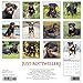 Just Rottweilers 2020 Wall Calendar (Dog Breed Calendar)