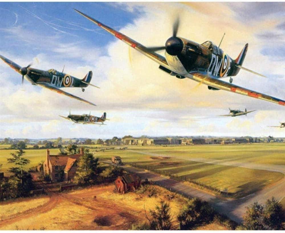 QIAOYUE Paint By Numbers for Aircraft fleet Adult and Children DIY Painting Kit Beginner Painting Art Pre-printed Canvas 40X50Cm(Frameless)