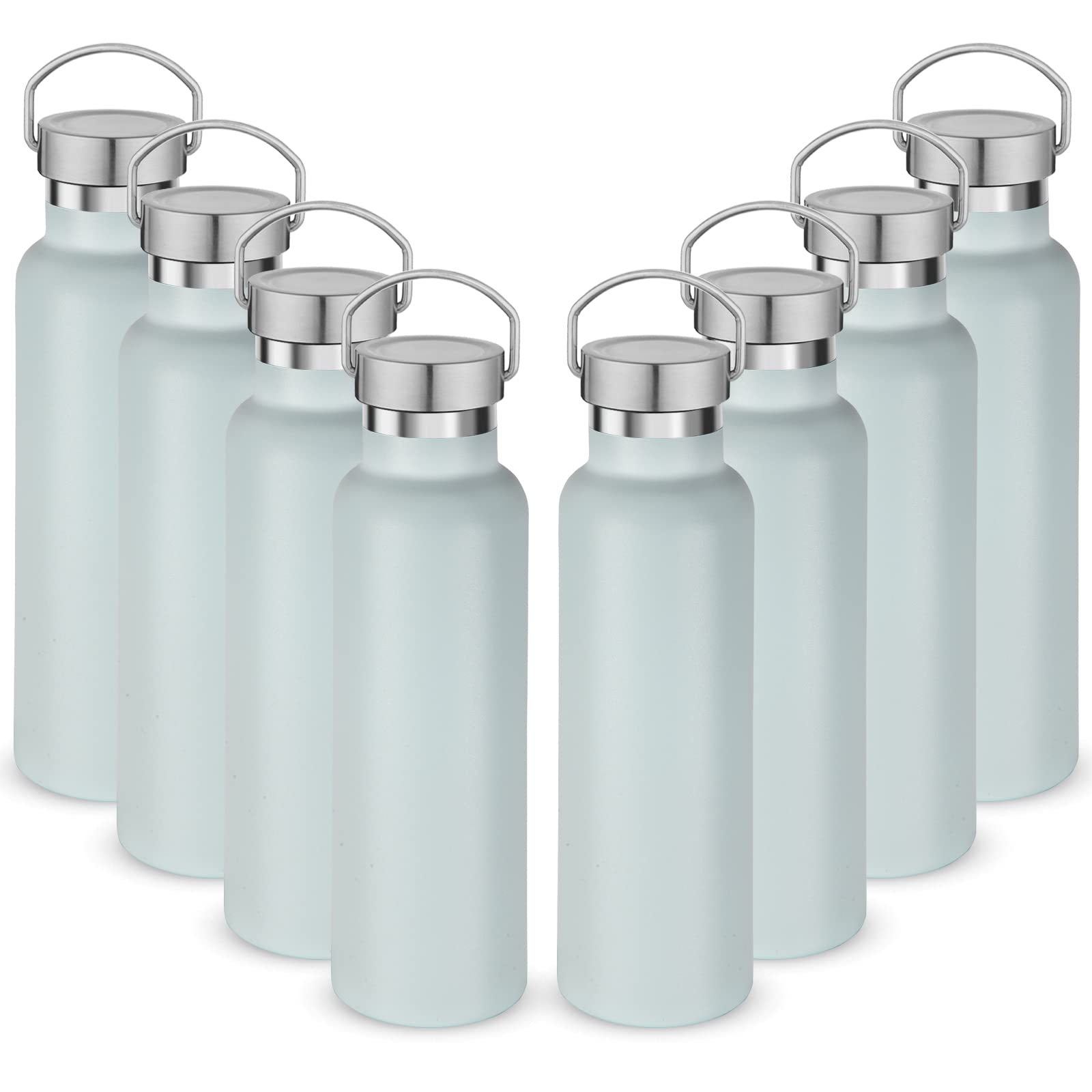 Neihepal 20 oz Insulated Water Bottles,Stainless Steel Double Wall Sport Bottle with Lid of Handle (8, Fog)