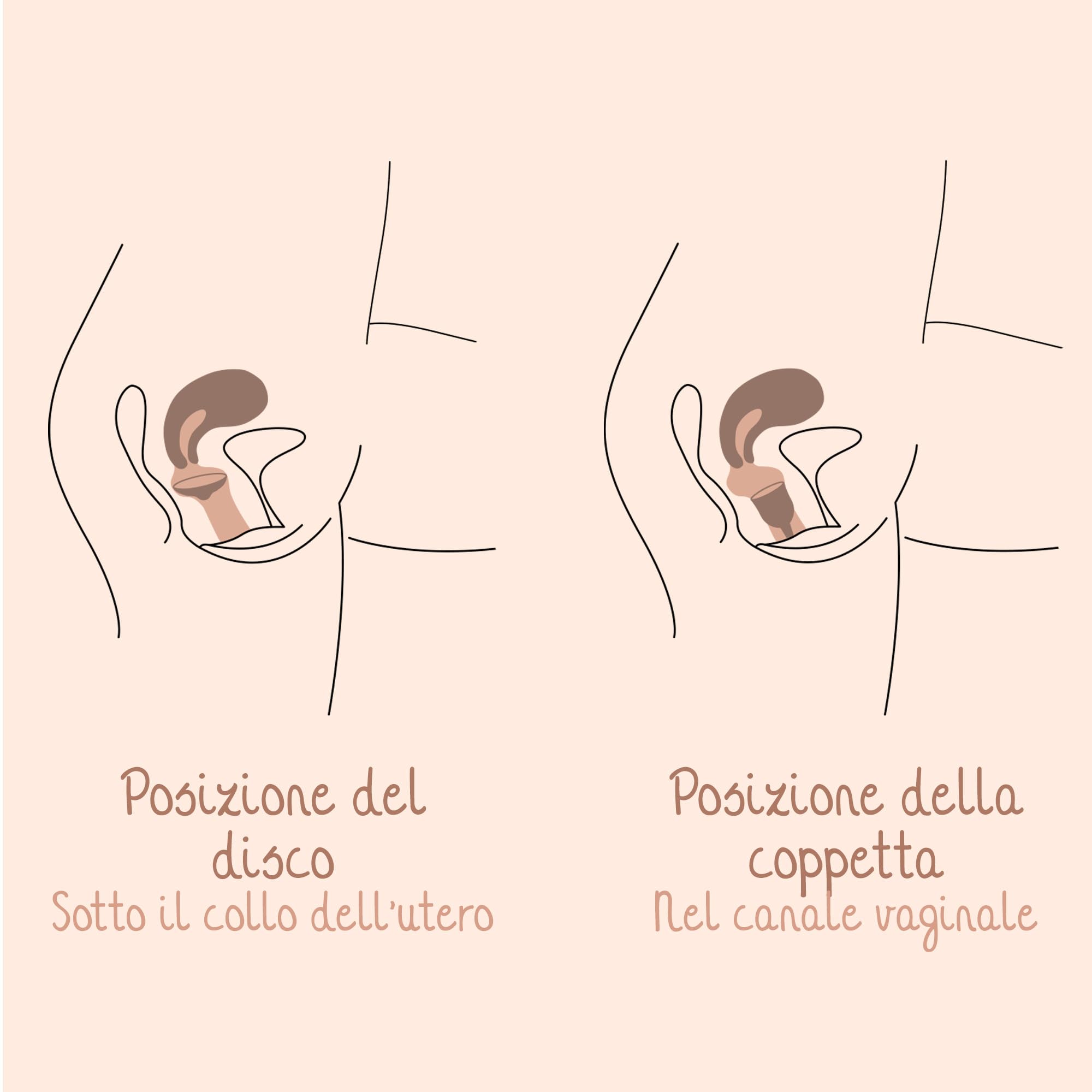 Bamboozy Disco Menstruale con Custodia in Silicone (M) - Disco Menstruale Sostenibile e Riutilizzabile in 100% Silicone Medicale - Senza BPA - Protegge fino a 12 ore - per Sport e Nuoto
