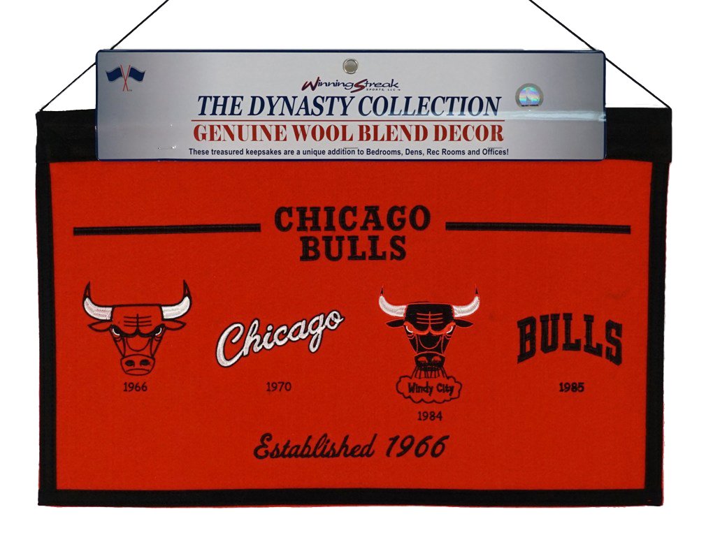 Amazon.com : Chicago Bulls Basketball LARGE 22x14 Wall Hanging