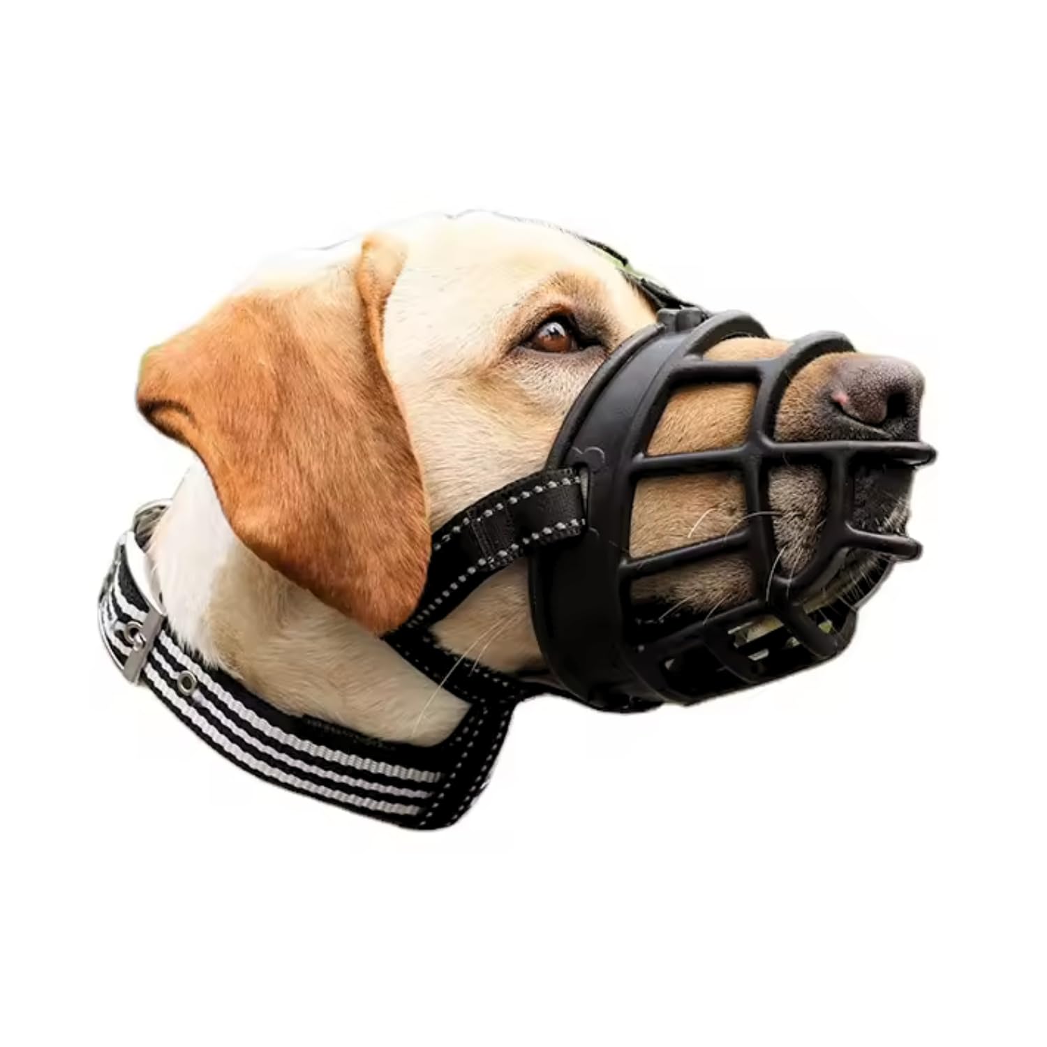 Pets Empire Dog Muzzle, Soft Breathable Basket Silicone Muzzles for Dog, Prevent Biting, Chewing and Barking, Allows Drinking and Panting-1 Piece (Black Color, 6 no (XX-Large)) (B09X9YDZPY) Amazon Price History, Amazon Price Tracker