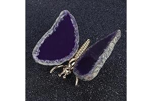 Natural Agate Slice Butterfly Healing Crystal Reiki Home Decor