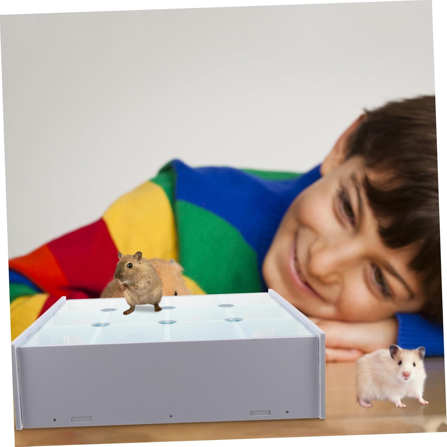 Hamster Tunnel Toy Creative Climbing Plaything for Pets Fun Exercise and Hideout for Dwarf Hamsters Gerbils and Mice Cozy Environment for Active Play