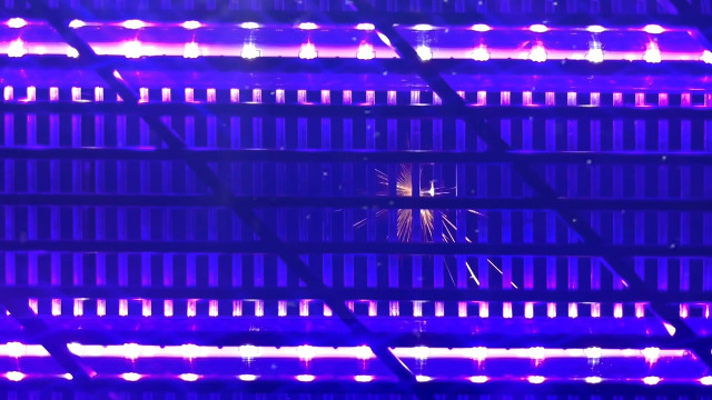 GeckoMan Lampe Anti Moustique Électrique LED - Tue Mouches, Moucherons Et Insectes Intérieur, Tube Hybride 10 Ans Durée