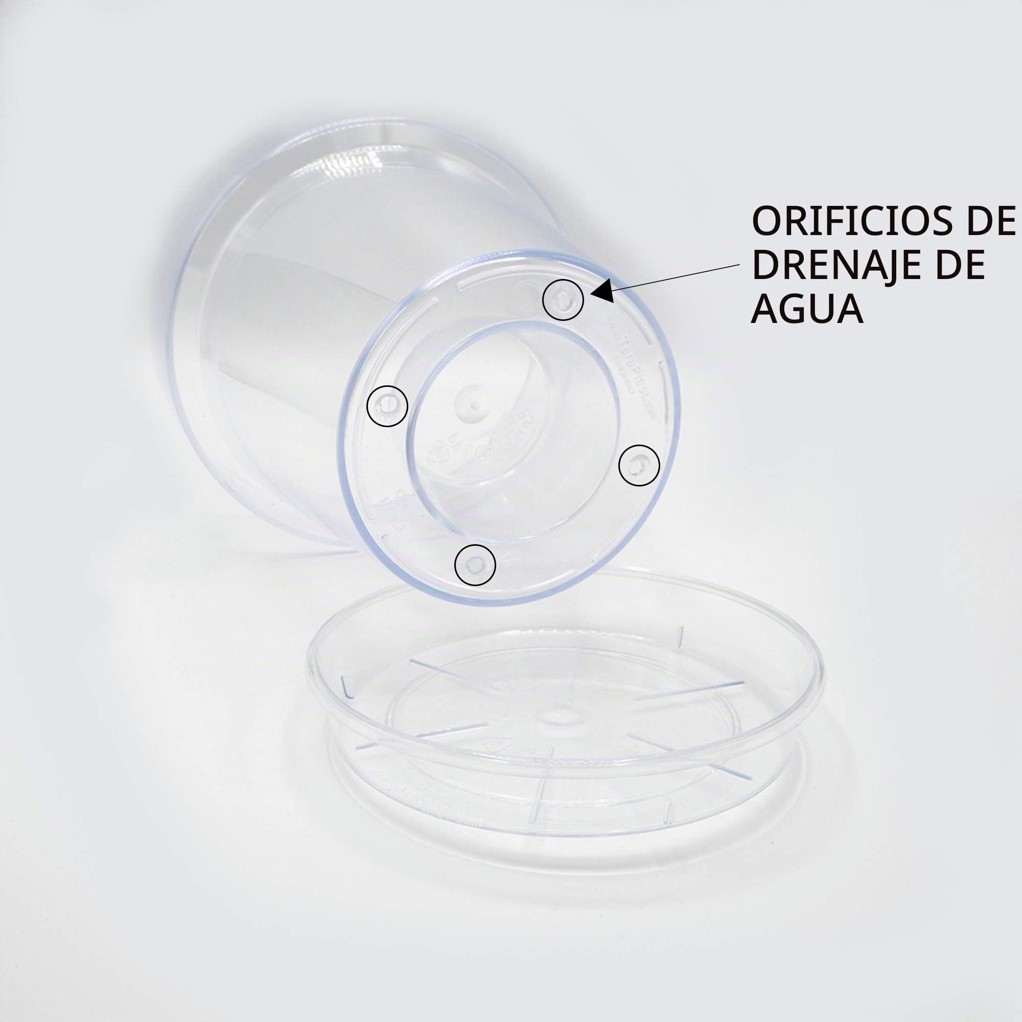 Kalapanta - Maceta de plástico Transparente para orquídeas con Agujeros de Drenaje y platillo (2, Ø 14 cm), Maceta para Interior y Exterior, Ideal para orquideas, Producto Fabricado en Italia