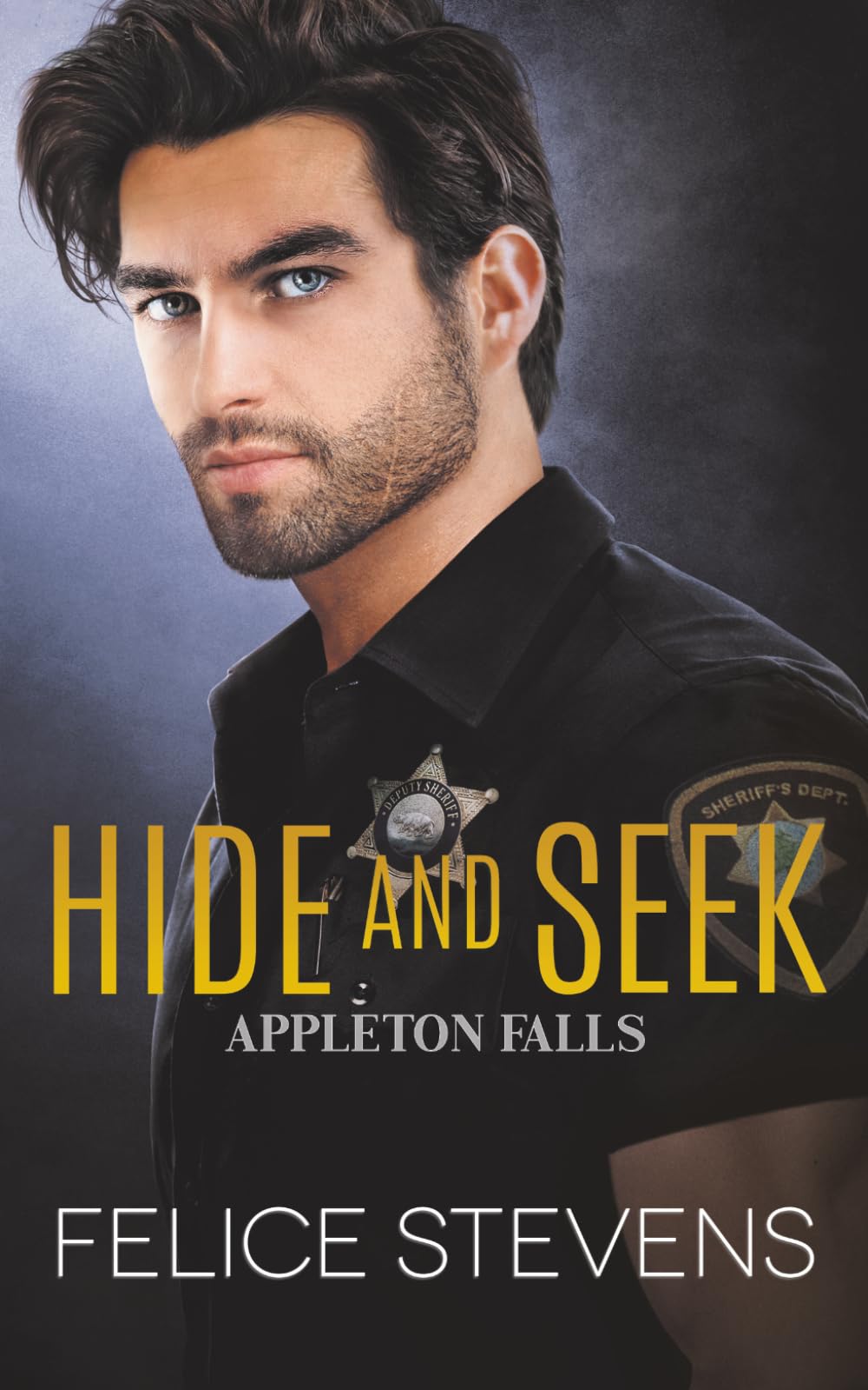 Hide and Seek: An Enemies to Lovers, Small-Town MM Romance (Appleton Falls)