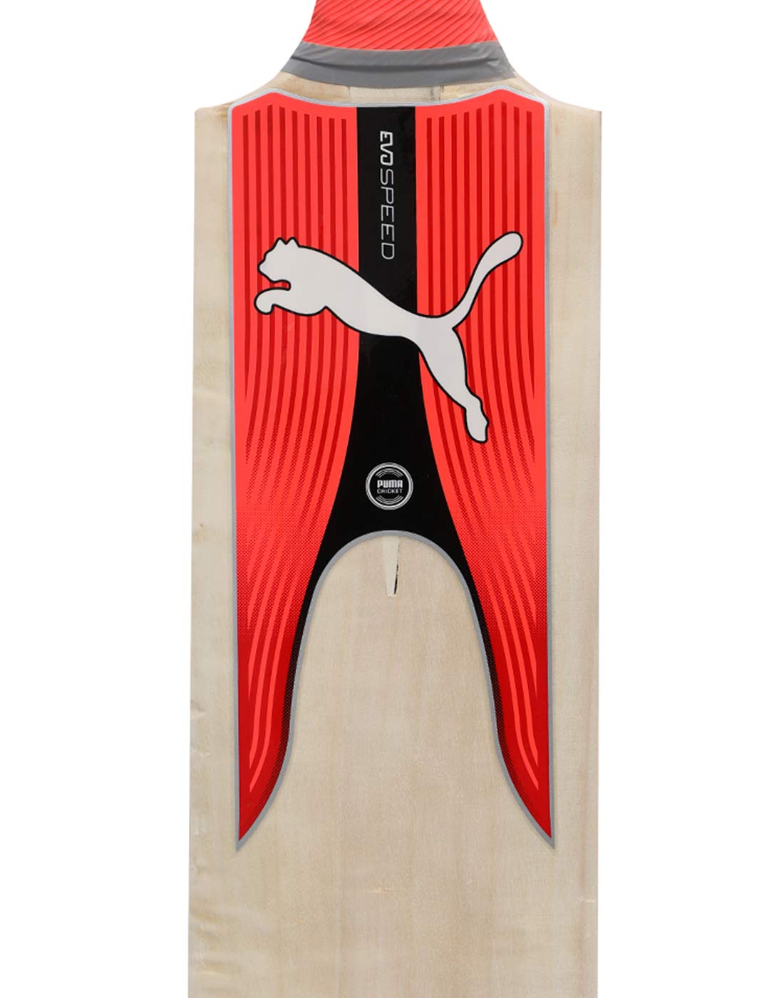Puma evoSPEED KW 5 TB Bat : Amazon.in: Sports, Fitness \u0026 Outdoors