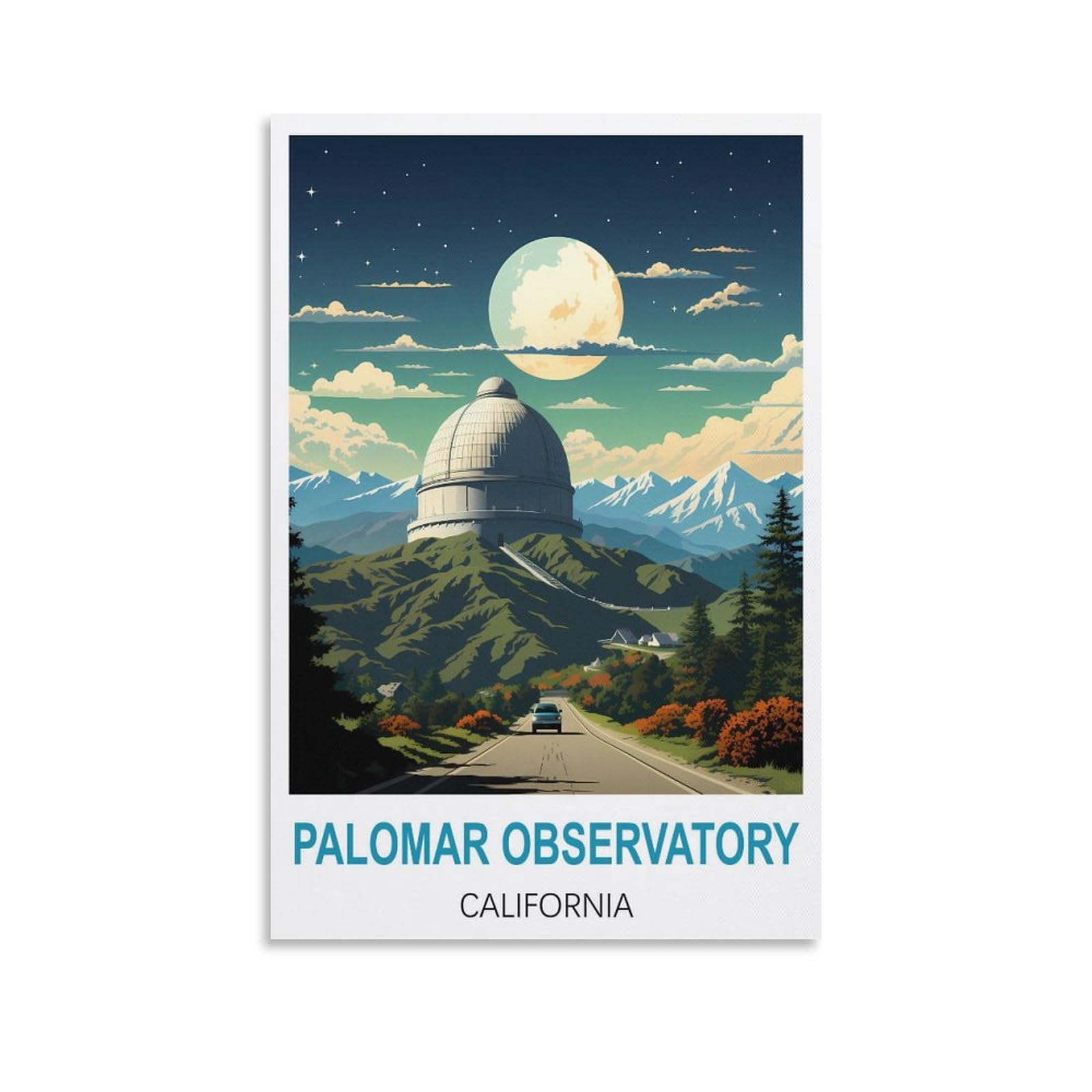 Vintage Metal Tin Sign Funny,Palomar Observatory California Metal Wall Art Bar Sign for Kitchen Pubs Coffee Metal Wall Decoration 15x30cm