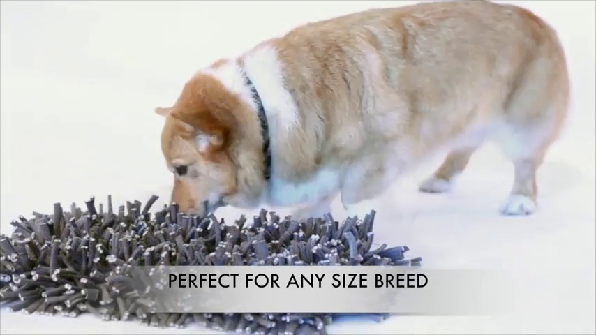 Paw 5 Dog Snuffle Mat for Dogs Small. Dog Toys Interactive - Reduces Boredom & Anxiety. Premium Feeding Mat for Slow… - Image 8