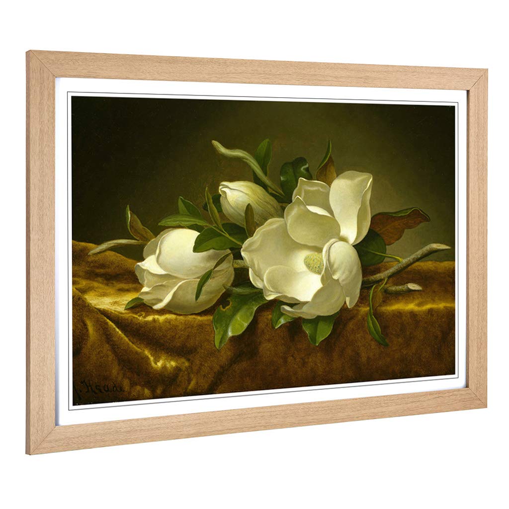 Big Box Art Framed Print of Martin Johnson Heade Magnolias Design | Wall Art Picture | Home Decor for Kitchen, Living, Dining Room, Bedroom, Hallway, Office, Oak, A2 / 24.5x18 Inch / 62x45cm