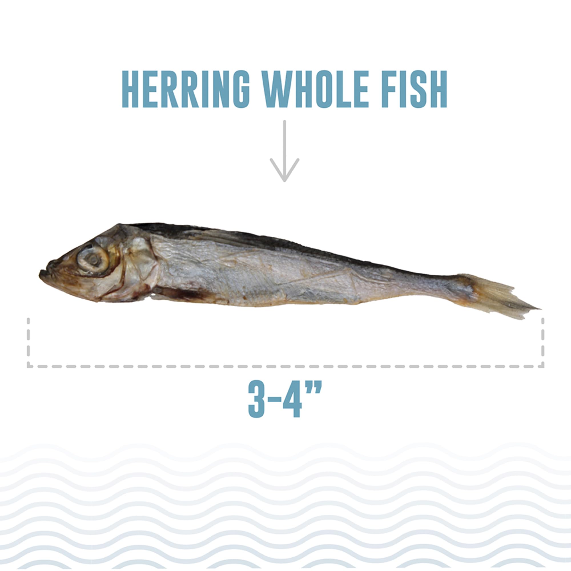 Icelandic+ Ganzer Fischhering – 266 ml Beutel – Hundeleckerlis, rein wild gefangen & luftgetrocknet, Einzelzutatensnack, Haustierkauen, Just The Fish Nothing Else