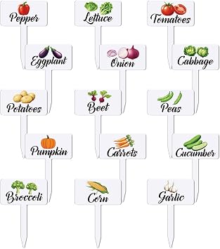 arricraft 15 Pcs Acrylic Vegetables Plant Labels, Onion Eggplant Cabbage Plant Markers with Handwriting Name Clear Garden Tags Sign for Seed Potted Farm Supplies Garden Gift 4x2.67inch10.2x6.8cm