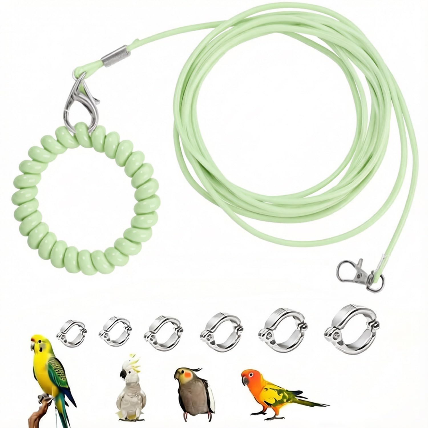 Bird Harness 300 cm, with 6 Different Size Foot Ring, with Anti Lost Bracelet, Retractable Anti-Bite Parrot Harness, Bird Flight Training Rope for Budgies,Cockatiels (Green)-image-45