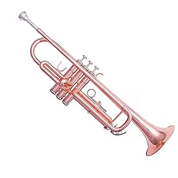 Amazon | 初心者金管楽器 学生、初心者、大人向けの表面が完全に