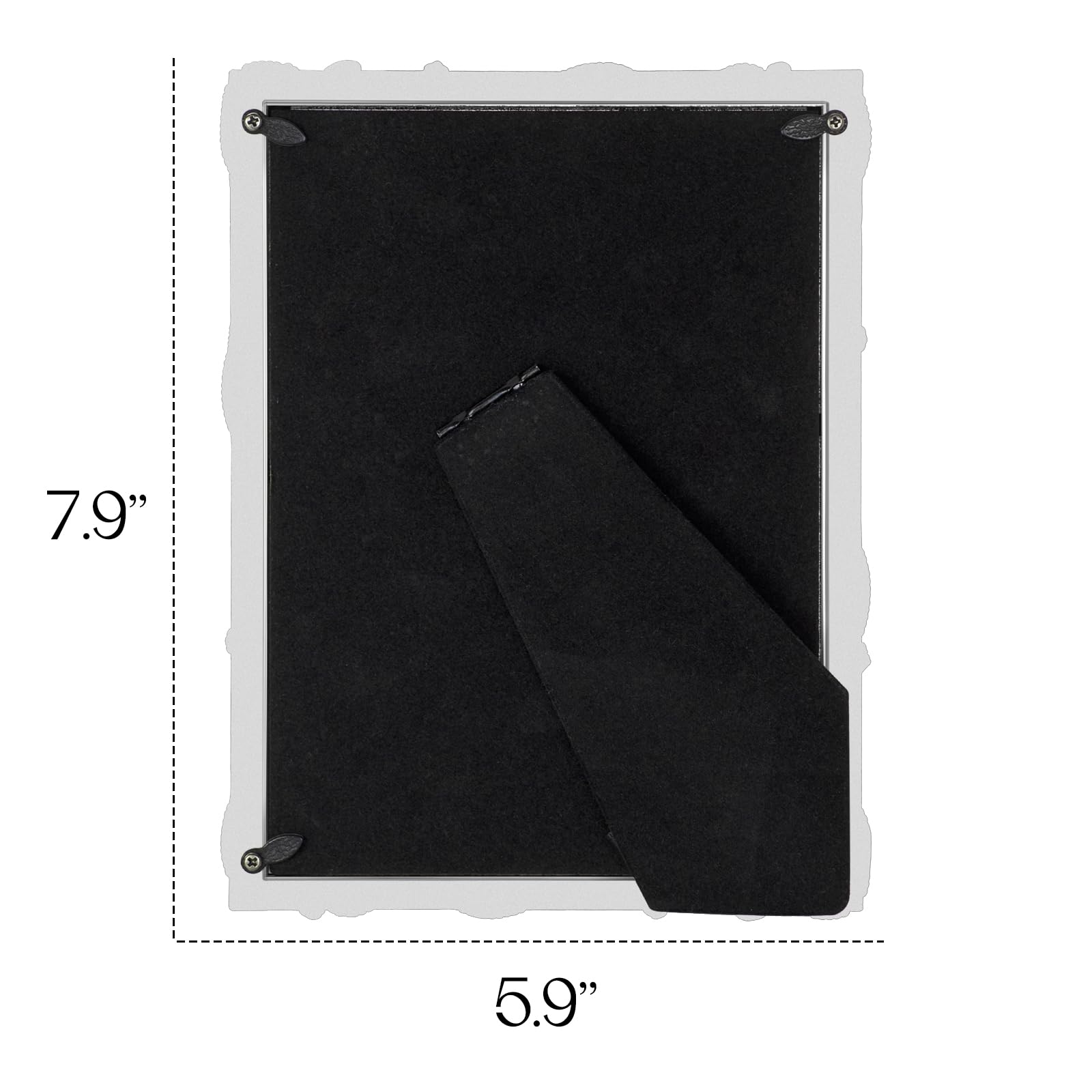 2600年寫眞画帖、2601年寫眞画帖、2602年寫眞画帖 祝允明草書《天馬賦》| Zhu Yunming, POEMS IN CURSIVE SCRIPT