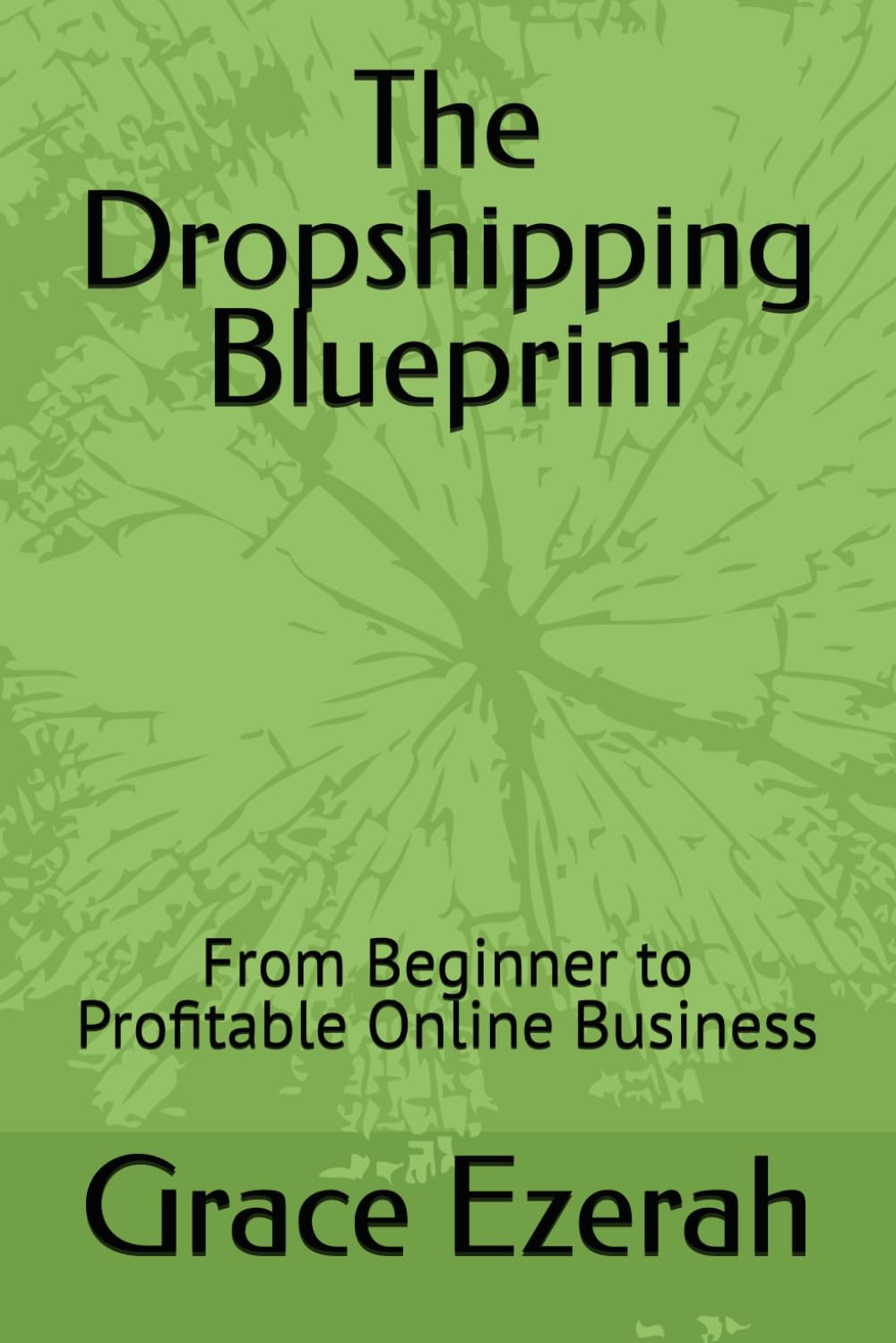 The Dropshipping Blueprint: From Beginner to Profitable Online Business