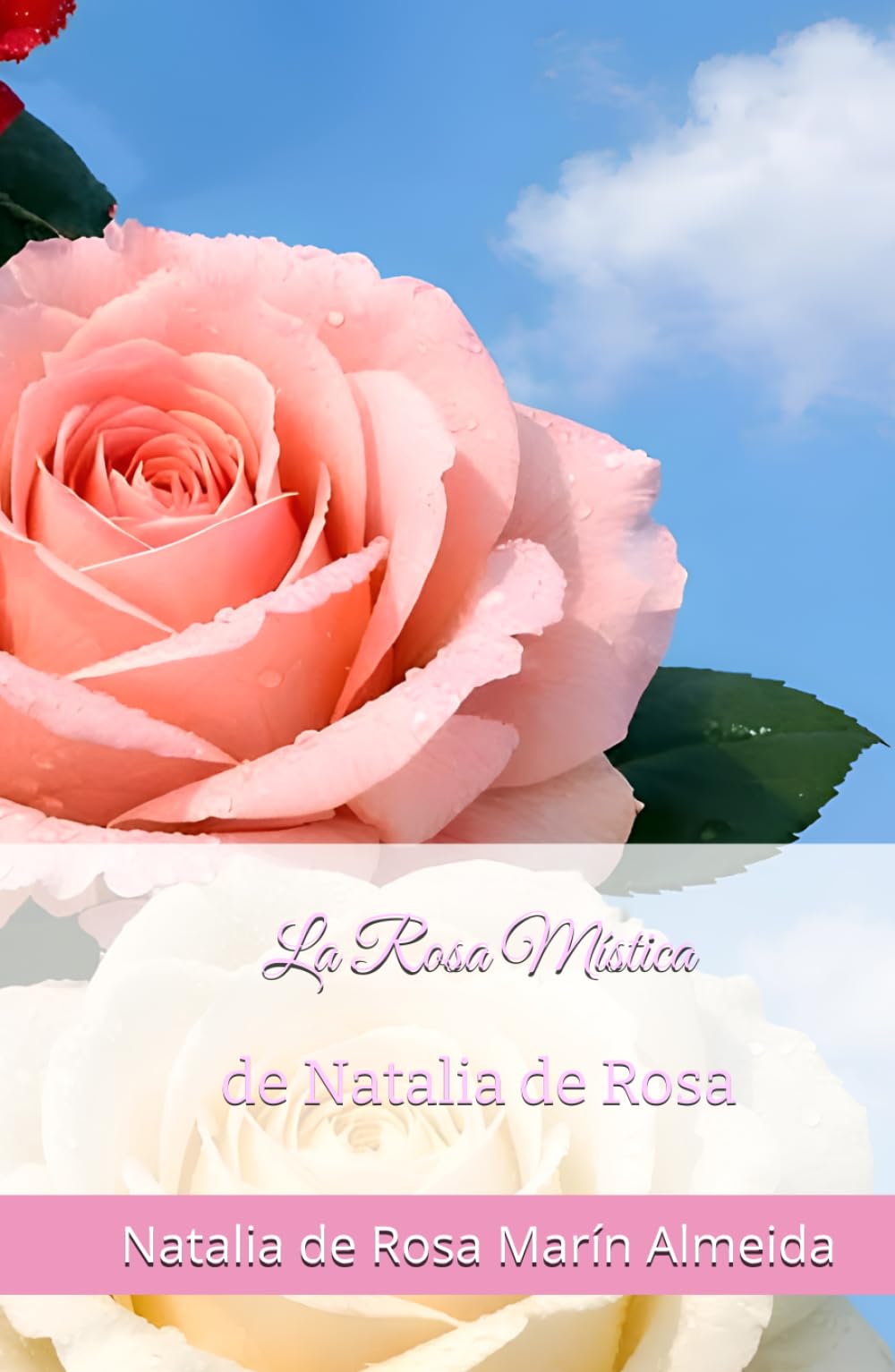 La Rosa Mística: de Natalia de Rosa